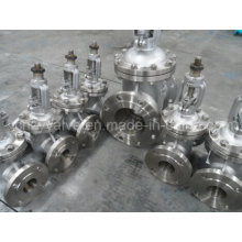 Stainless Steel 304 /316 Flanged Gate Valve